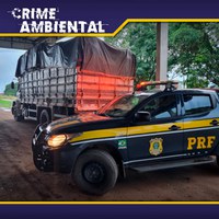 Em Ariquemes/RO, PRF identifica transporte irregular de madeira