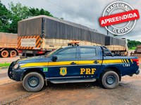 Em Ji-Paraná/RO, PRF identifica transporte irregular de madeira