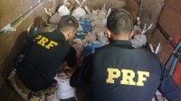 Em Ariquemes/RO, PRF identifica transporte ilegal de Cassiterita