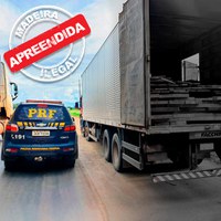 Em Ariquemes/RO, PRF identifica transporte irregular de madeira