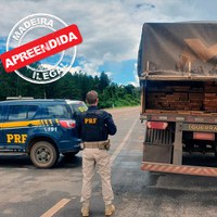 Em Rondônia, PRF identifica transporte irregular de madeira