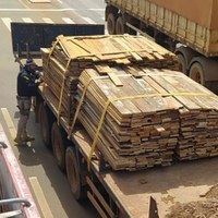 Em Rondônia, PRF identifica transportes irregulares de madeira