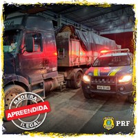 Em Ariquemes/RO, PRF identifica transporte irregular de madeira