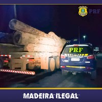 Em Rondônia, PRF identifica transportes irregulares de madeira