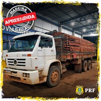 Em Rondônia, PRF identifica transportes irregulares de madeira