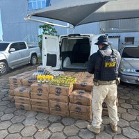 PRF recaptura foragido da Justiça com contrabando e recupera dois veículos em Boa Vista/RR