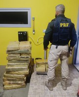 PRF apreende mais de 300 kg de maconha em Joinville