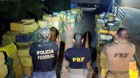 Ação conjunta PRF e PF faz a maior apreensão de maconha do ano em SC: quase 18 toneladas escondidas em carga de milho na BR-101 em Biguaçu