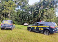 Pai e filho são presos pela PRF com 462 quilos de maconha em Joinville