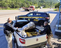 PRF localiza 333 quilos de maconha escondidos em picape na BR-101 em Biguaçu