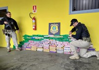 Homem e adolescente são presos com 125 quilos de maconha na BR-101 em Joinville