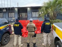 PRF e PMRv apreendem camioneta clonada e com 632 quilos de maconha na serra catarinense