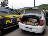 Homem tenta fugir mas é preso com mais de 200kg de maconha na BR-101 em Joinville