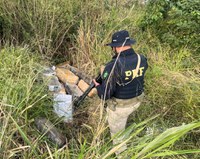 PRF localiza quase meia tonelada de maconha às margens da BR-282 em Iraceminha