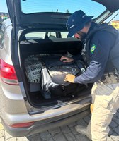 PRF localiza 159 kg de maconha em automóvel na BR-101 em Biguaçu