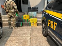 PRF apreende mais de 200 kg de maconha e recupera carro roubado na BR-101 em Joinville