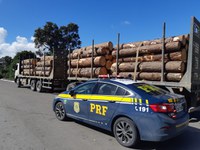 PRF flagra mais de 21 toneladas de peso excedente em três veículos na BR 280 em Rio Negrinho