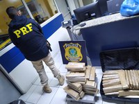 PRF apreende mais de 80 kg de maconha, cigarros e anabolizantes em automóvel na BR 101 em Joinville