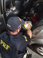 PRF flagra cerca de 600 comprimidos de ecstasy em automóvel na BR 101 em Tubarão