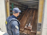 Crime ambiental: PRF apreende madeira extraída ilegalmente