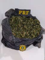 PRF apreende 1,3 kg de “supermaconha” na BR 101 em Paulo Lopes