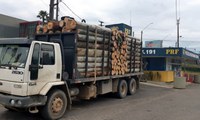 Caminhão é flagrado transportando mais que o dobro da capacidade na BR 470 em Blumenau