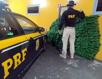 PRF apreende 373 kg de maconha e haxixe após motorista fugir da fiscalização na BR 101 em Joinville