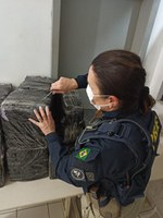 PRF apreende mais de meio milhão de reais em maconha na BR 280 em Araquari