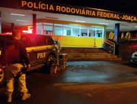 PRF apreende 144 kg de maconha na BR 282 em Joaçaba