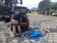 PRF flagra cerca de 50 kg de maconha em porta-malas de automóvel na BR 480 em Chapecó