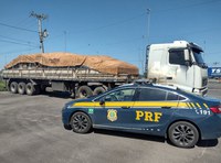 PRF flagra mais de 15 toneladas de excesso em rodovias do sul e serra de SC