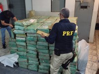 PRF apreende três toneladas de maconha em SP