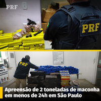 Cerca de 2 toneladas de maconha são apreendidas em menos de 24h em São Paulo pela PRF.