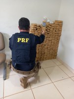 PRF apreende 165 quilos de maconha na região de Marília