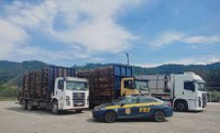 Em ação conjunta, PRF e CCR/SP realizam fiscalização de veículos de carga