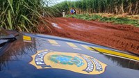 Ministério do Trabalho e Ministério Público do Trabalho, com apoio da Polícia Rodoviária Federal, realizam fiscalização das condições de trabalho em canavieiros da região de Morra Agudo e Ituverava.