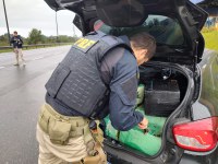 PRF apreende 350 quilos de maconha em Barra do Turvo/SP