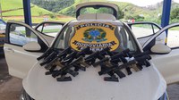 PRF apreende grande quantidade de pistolas e carregadores em Lavrinhas