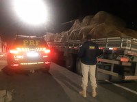 PRF recupera caminhão roubado na rodovia Fernão Dias