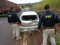 Em ação conjunta com a Polícia Civil, PRF apreende 190 quilos de drogas