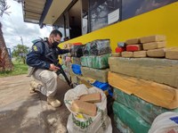 PRF apreende 483 quilos de maconha em Santo Antônio da Platina/PR