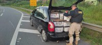 PRF prende saqueadores na rodovia Régis Bittencourt