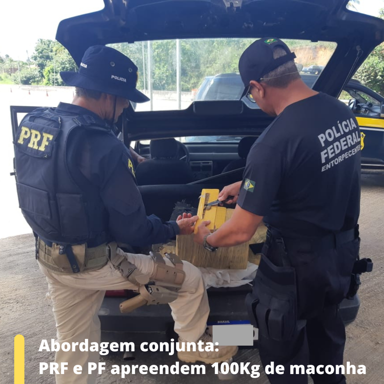 PRF e PF apreendem 100Kg de manha.png