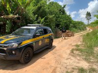 Rio Real/BA: PRF detém homem suspeito de furto de carga