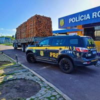 MERCADORIA SEM NOTA FISCAL: PRF flagra caminhoneiro transportando carga sem licença válida