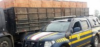Cristinápolis/SE: PRF flagra caminhoneiro transportando carga sem nota fiscal
