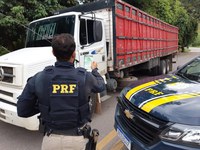 Esplanada/BA: PRF flagra caminhoneiro portando comprimidos de “rebite”