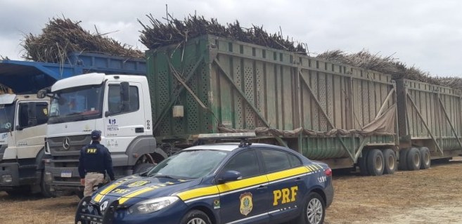 Malhada dos Bois: PRF flagra dois casos de crime ambiental no transporte de cana-de-açúcar