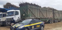 Malhada dos Bois: PRF flagra dois casos de crime ambiental no transporte de cana-de-açúcar