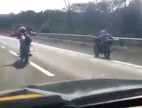 PRF flagra quatro pessoas deitadas sobre motos em alta velocidade na BR-101